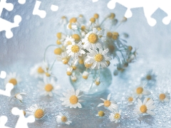Bokeh, decoration, White, Flowers, chamomile
