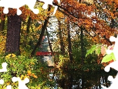color, Park, bridge, lake, Leaf, autumn