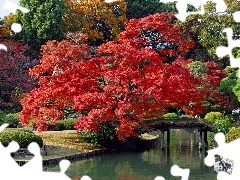 brook, Tokyo, trees, Park, Japan, bridge, viewes