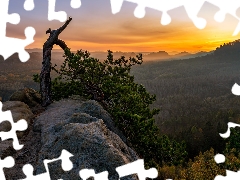Mountains, Great Sunsets, Bright, pine, trees, rocks