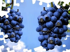 Buldings, Blue, grape