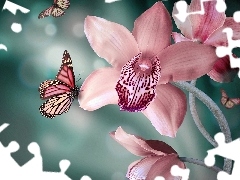 butterflies, Pink, orchid
