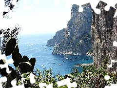 Island, sea, Cactus, Capri