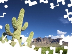 canyon, Cactus, Sky