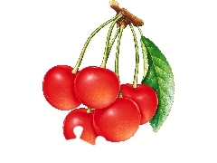 leaf, cherries
