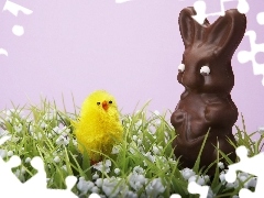 chocolate, chicken, rabbit