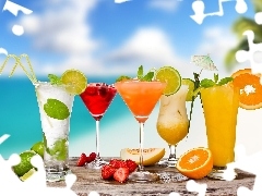 citrus, color, drinks