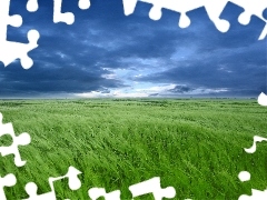 clouds, corn, Field