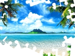 sea, Palms, clouds, Beaches