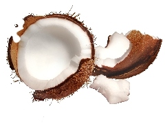 broken, Coconut