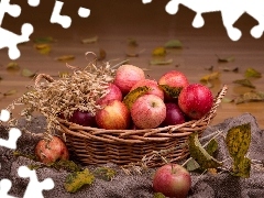 apples, Leaf, composition, basket
