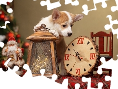 lantern, Clock, Welsh corgi pembroke, Santa, dog
