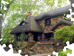 Home, Cottage