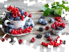 blackberries, plums, cup, boarding, raspberries, currants