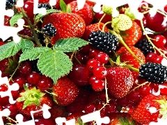 Fruits, blackberries, currants, strawberries