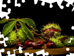 Leaf, chestnut, parings, Dark Background, chestnuts, twig