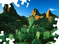 Desert, Cactus, Mountains