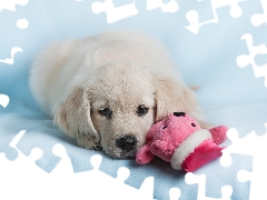 Golden Retriever, mascot, dog, Puppy, White