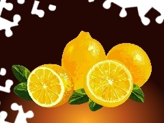 lemons, Drawing