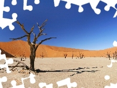 drought, Desert, trees