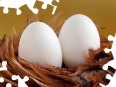 eggs, pen, White