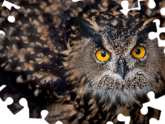 owl, Yellow, Eyes, Eurasian Eagle-Owl