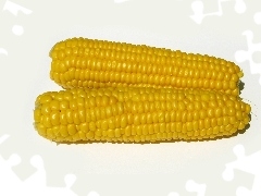 corn-cob, Two, flask