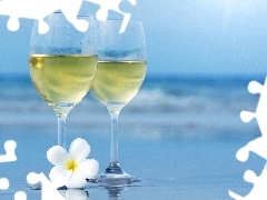 Flower, glasses, Champagne