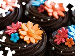 chocolate, color, Flowers, Cookies