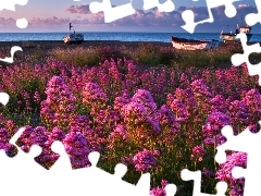 Coast, Meadow, Flowers, Boats
