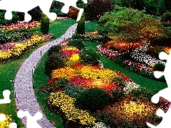 Flowers, Garden, color
