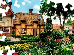 English, garden, Flowers, Houses