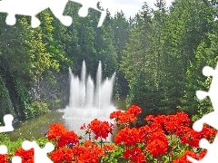 fountain, forest, Flowers, lake