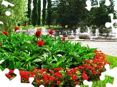 Flowers, fountain, flowerbed, Red, Park