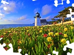 Lighthouse, sea, Flowers, maritime