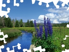 River, Mountains, Flowers, woods