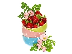 Flowers, rose, Bowls, strawberries, color