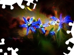 squill, Blue, Flowers, Siberian