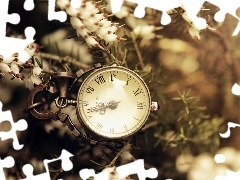 Flowers, Clock, White