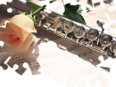 flute, rose, Tunes