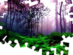 forest, Violet, Fog, Fern