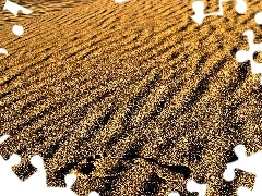 foot, Desert, Sand