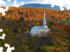forest, autumn, church