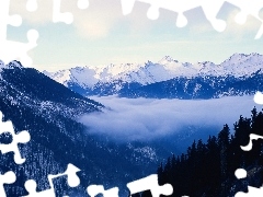 forest, Fog, Snowy, peaks, Mountains