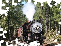 locomotive, forest