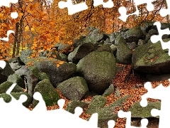 rocks, forest