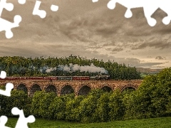 Sky, Train, trees, Clouds, bridge, forest, viewes