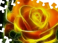rose, Colourfull Flowers, Fraktal