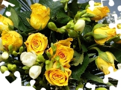 Yellow, White, Freesias, roses