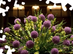 bouquet, purple, gladioli, driers